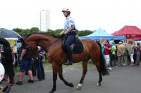 Blaulichttag 2011 (15)